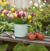 Artikel Deko Tasse Pflanztopf Mandala emailliert Ø13cm H12cm
