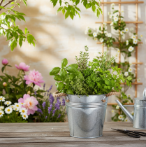 Artikel Deko Eimer Blumentopf Metall mit Seilgriffen Ø20cm