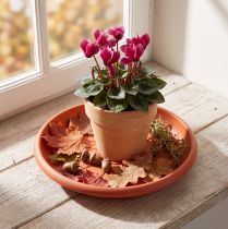 Artikel Untersetzer „Linda" Ø20cm Terrakotta