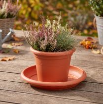 Artikel Untersetzer „Linda" Ø30cm Terrakotta