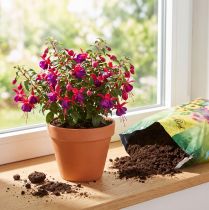 Artikel FlorBest Gärtner Blumenerde mit Naturton und Langzeitdünger 5l