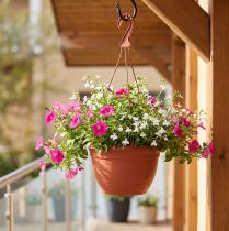 Artikel Blumenampel Ø30cm Terrakotta