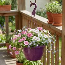 Artikel Blumenampel 25cm Lila