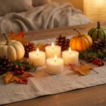 Artikel PURE Nature Lights Teelichter Rapswachs Natur Brenndauer 7 Stunden 18 St