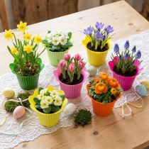 Artikel Plastiktopf Blüte Ø12cm 25 St