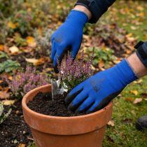 Artikel Kixx Gartenhandschuhe Blau, Schwarz Gr.10