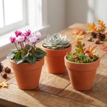 Artikel Blumentopf Ton Ø6cm hoch 5cm 10St