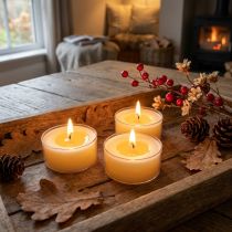 Artikel Teelichter Pure Nature Lights Brenndauer 10 Stunden Kerzen Rapswachs 8 St