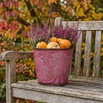 Artikel Pflanzgefäß, Metalleimer mit Blättern, Herbstdeko Weinrot Ø18cm H17cm