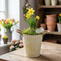 Artikel Topf aus Metall, Frühlingsdeko, Pflanzgefäß mit Henkeln Gelb Shabby Chic Ø18cm H17,5cm