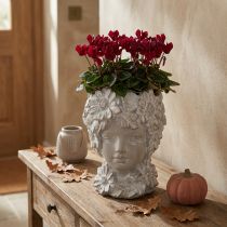 Artikel Büste aus Steinguss Skulptur Frau Übertopf Antik H21,5cm