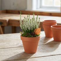 Artikel Blumentopf Ton Ø8cm hoch 7cm 10St