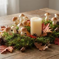 Artikel Deko-Pilz am Draht 3cm - 5cm 24 St