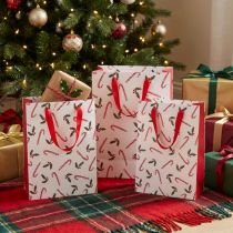 Artikel Geschenktüte Weihnachten mit Henkeln Rot Weiß 24×18×8cm 4St