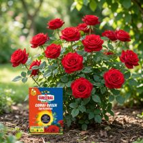 Artikel Celaflor Combi-Rosenspritzmittel Konzentrat 15ml+2×4ml