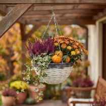 Artikel Deko-Korb zum Aufhängen Blumenampel Weiß, Dunkelbraun Ø34cm