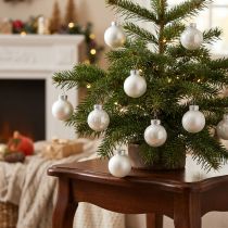 Artikel Mini Weihnachtskugeln Glas Weiß Glanz/Matt Ø2,5cm 22 St