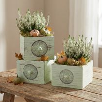 Artikel Pflanzkasten Deko Schublade Shabby Grün 15-23cm 3er-Set