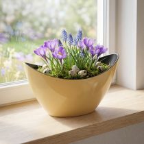 Artikel Pflanzschiffchen Gelb Deko Schale Frühling 20x9x12cm