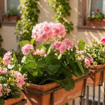 Artikel Geranie Kunstblume Rosa Geranienbusch künstlich 7Blüten H38cm