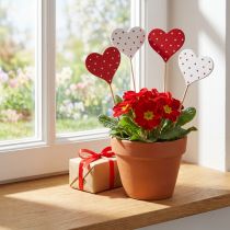 Artikel Herzen Rot und Weiß gepunktet Blumenstecker Holz 6×5cm 18 St