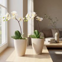 Artikel Orchideentopf Blumentopf Plastik Beige Meliert 13,5x13cm H16,5cm 2St
