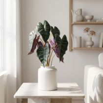 Artikel Alokasie Pfeilblatt Grün, Violett Kunstpflanze H48cm