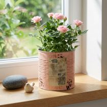 Artikel Blumentopf Deko Dose Lachs Metall Pflanzeimer Ø15,5cm H15cm