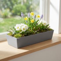 Artikel Vielseitige graue Pflanzschale aus Kunststoff – Rechteckig, 37cm – Ideal für Indoor- und Outdoor-Gärtnerei