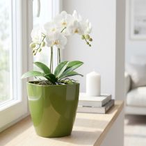 Artikel Orchideentopf glänzend Ø12,5cm Olivgrün 1 St