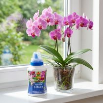 Artikel Compo Orchideen-Dünger Orchideendünger 250ml