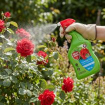 Artikel Curamat Plus Rosen-Pilzfrei AF Fungizid 1000ml