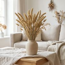 Artikel Trockenblumen Hirse Deko Setaria Borstenhirse 60g