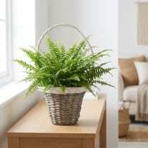 Artikel Weidenkorb Henkelkorb Grau Weiß Ø25 H45cm Deko Pflanzenkorb