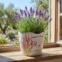 Artikel Übertopf Kunststoff Lavendel Blumentopf Ø13,5cm H12cm