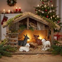 Artikel Weihnachtskrippe Krippentiere Set mit 4 Figuren