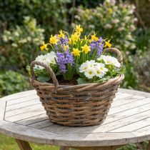 Artikel Blumendeko, Holzkorb mit Henkeln, Pflanzgefäß Natur, Weiß gewaschen H12cm Ø24cm