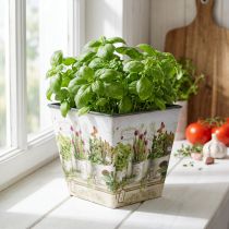 Artikel Kräutertopf, Übertopf mit Motiv, Pflanzgefäß H13cm B13,5cm