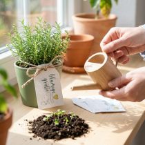 Artikel Geschenkanhänger bedruckt Samenpapier Sonnenhut 7cm 12St