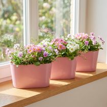 Artikel Pflanzschale oval Pink Dekoschale Kunststoff 20×10×11cm 3St