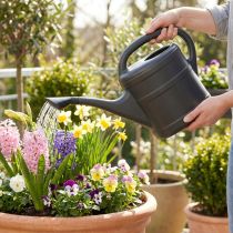 Artikel Gießkanne 5l Anthrazit