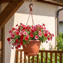 Artikel Blumenampel Galicia Ø30cm Terrakotta
