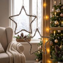 Artikel Weihnachtsdeko Stern Fensterdeko Weiß gewaschen Ulme Ø40cm 2St
