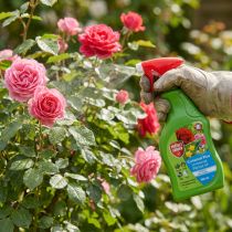 Artikel Protect Garden Curamat Plus Universal Pilzfrei AF 500ml