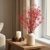 Artikel Schleierkraut Gypsophila Trockenblumen Rot 50cm 55g
