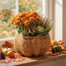 Artikel Pflanzkorb Kürbis mit Folie Herbstdeko Orange Ø18cm H15cm