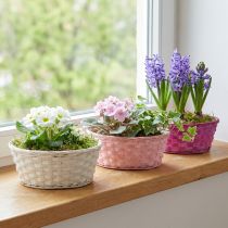 Artikel Spankorb rund Lila/Weiß/Rosa Ø25cm 6 St