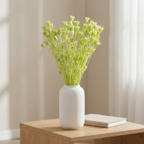 Artikel Trockenblumen Nigella bezaubernd natürliche Raumdekoration für zu Hause 70cm 50g