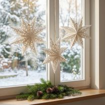 Artikel Sterne Schneeflocken Deko Hänger Weiß Papier Ø20cm 6er Set