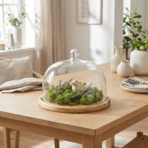Artikel Glasglocke mit Holz Teller Deko Käseglocke Ø22cm H16,5cm
